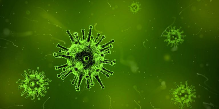 Coronavirus – digitale Besichtigungen statt Besichtigung vor Ort